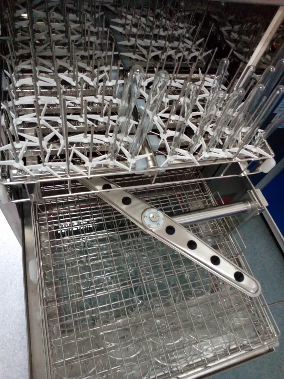 9032741074661373.jpg