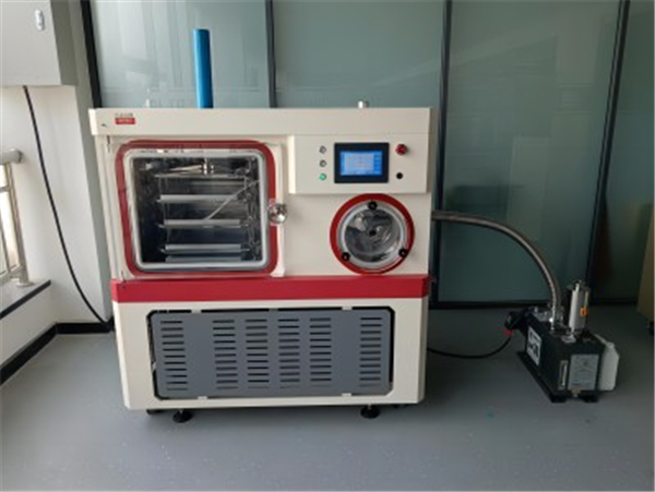 密封圈老化导致漏气？国产真空冷冻干燥机密封件更换教程